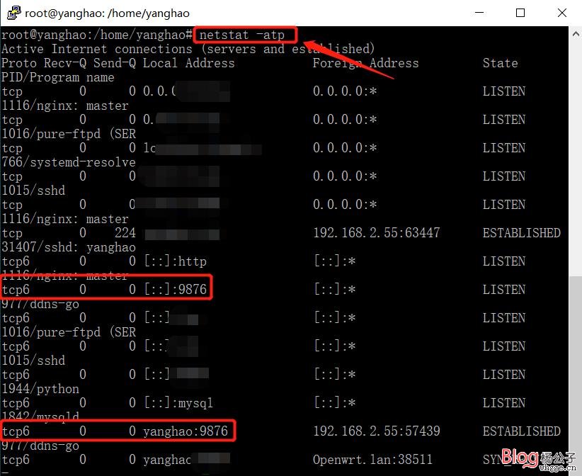 图片[4]-家宽动态双IP解析至顶级域名免备案并套用CF教程-杨公子的博客