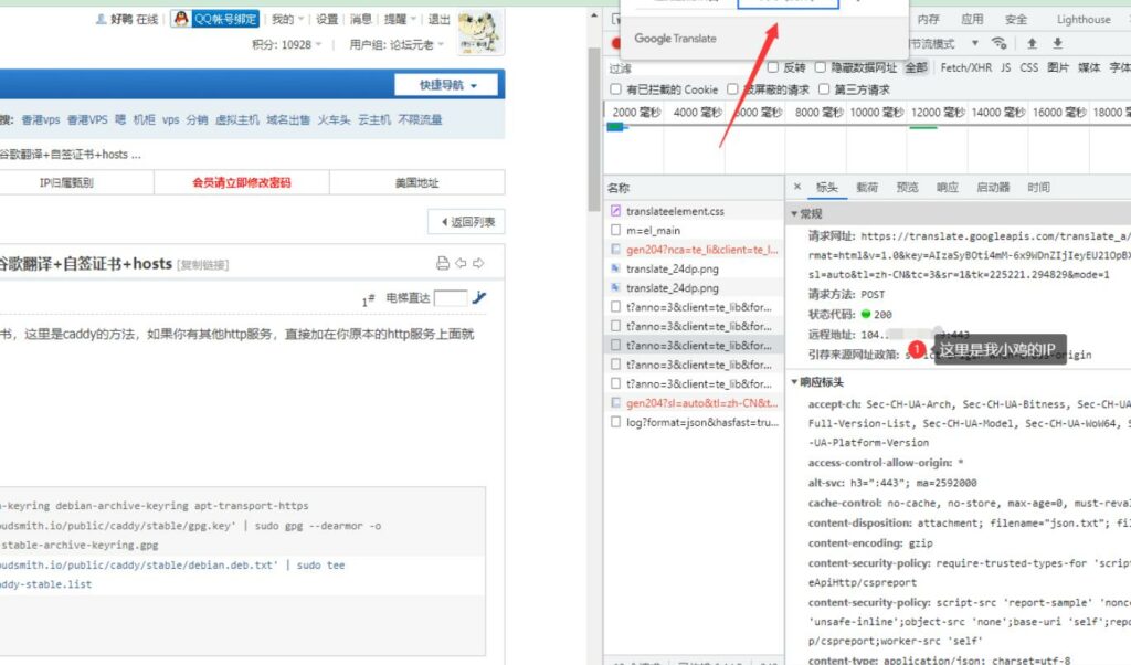 图片[5]-反代+hosts完美解决Google Chome翻译-杨公子的博客