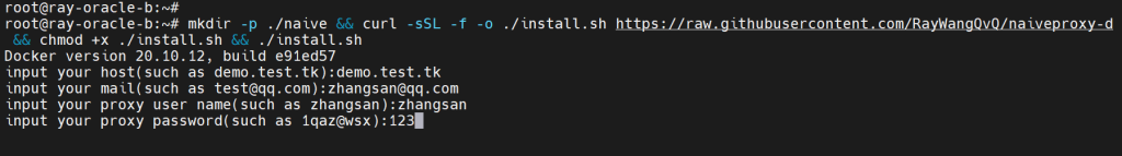 图片[1]-基于docker的naiveproxy一键部署脚本-杨公子的博客