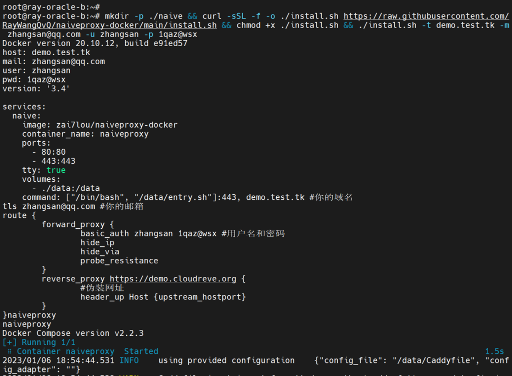 图片[3]-基于docker的naiveproxy一键部署脚本-杨公子的博客