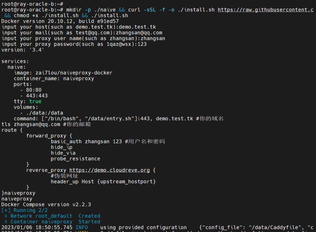 图片[2]-基于docker的naiveproxy一键部署脚本-杨公子的博客