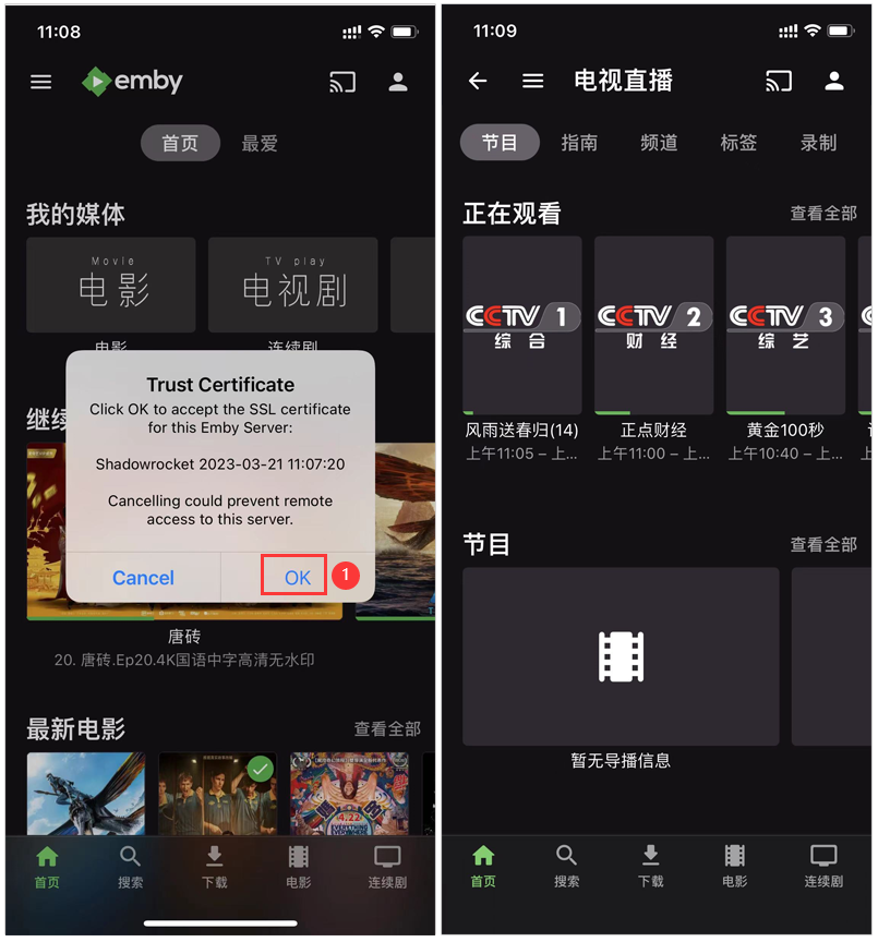 图片[6]-iOS/iPad利用小火箭解锁Emby的方法-杨公子的博客