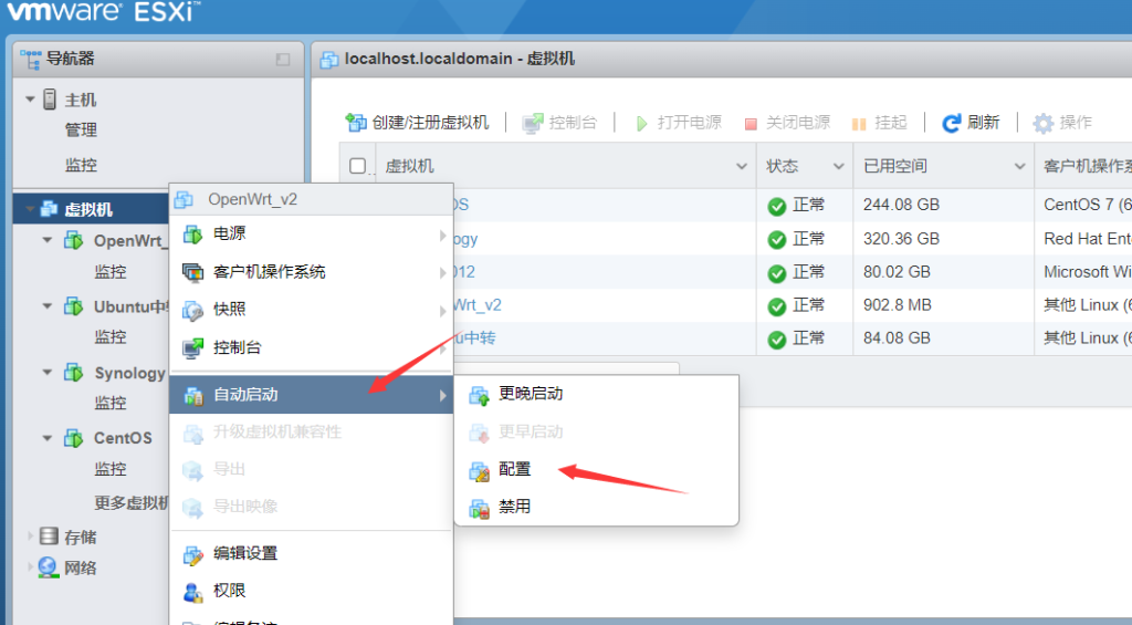 图片[4]-ESXI服务器下配置虚拟机开机自启动-杨公子的博客